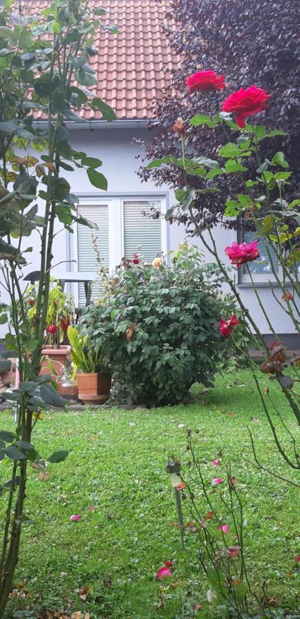 Ferienwohnung Relax イルセンブルク エクステリア 写真